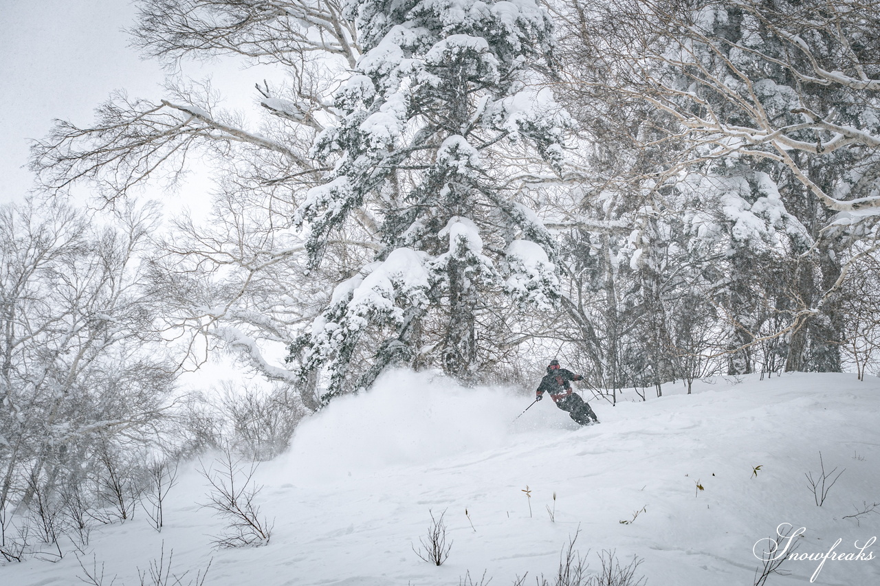 2026【4FRNT GUERRILLA RIDE EVENT】｜アメリカからやってきたゲストライダーたちが、サッポロテイネを滑る、飛ぶ！！
